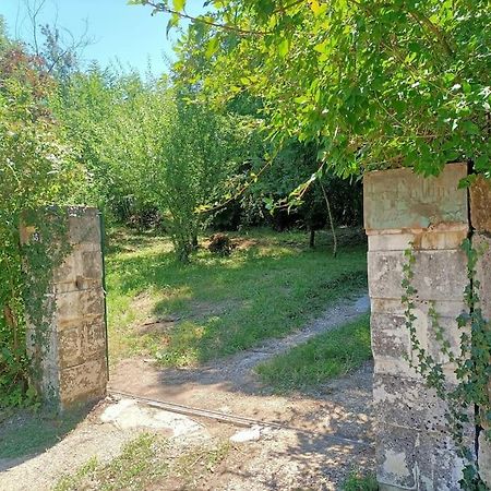 La Colline Aux Oiseaux, La Tranquillite Des Bois Βίλα Molieres-sur-Ceze Εξωτερικό φωτογραφία