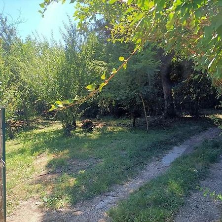 La Colline Aux Oiseaux, La Tranquillite Des Bois Βίλα Molieres-sur-Ceze Εξωτερικό φωτογραφία