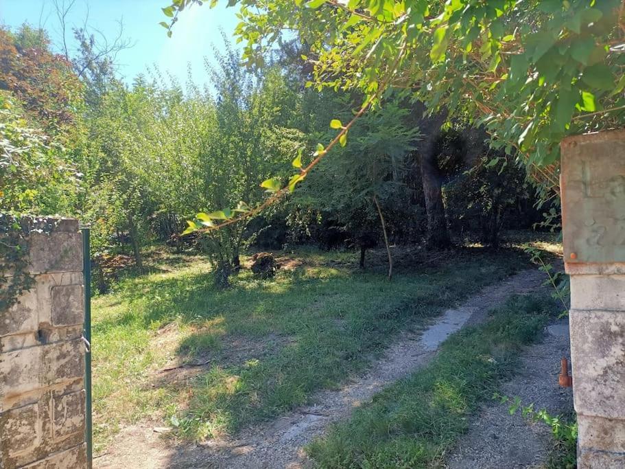 La Colline Aux Oiseaux, La Tranquillite Des Bois Βίλα Molieres-sur-Ceze Εξωτερικό φωτογραφία