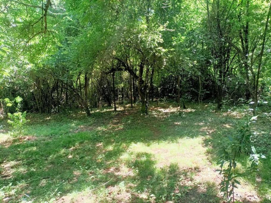 La Colline Aux Oiseaux, La Tranquillite Des Bois Βίλα Molieres-sur-Ceze Εξωτερικό φωτογραφία